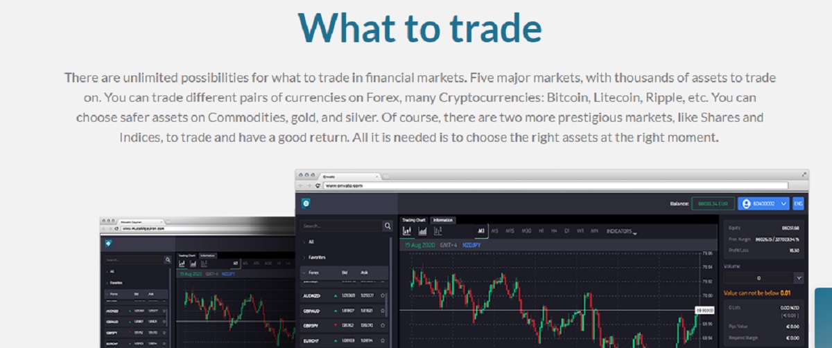 Everrise Brokers trading instruments