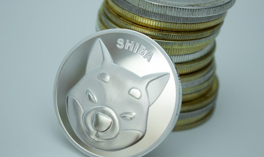 Shiba Inu (SHIB): Why Short-Term Investors Need to be Cautious